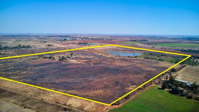Stand for Sale in Mount Hampden