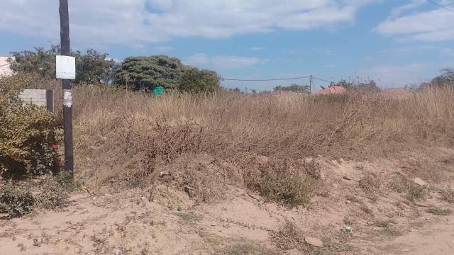 Stand for Sale in Zimre Park