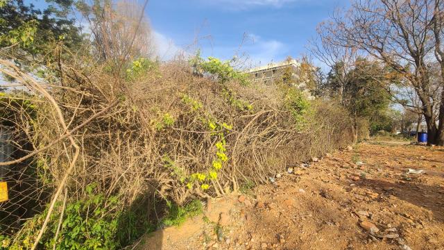 Stand for Sale in Eastlea