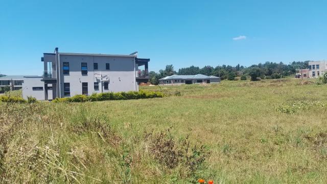 Stand for Sale in Quinnington
