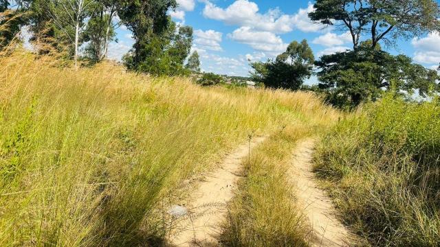 Stand for Sale in Ruwa
