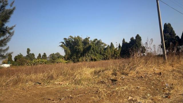 Stand for Sale in Goodhope
