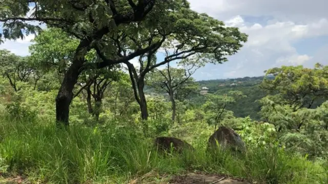 Residential Stand for Sale