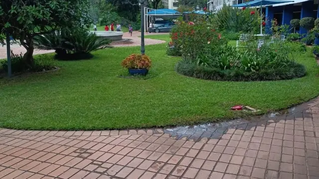 Flat/Apartment to Rent in Avenues