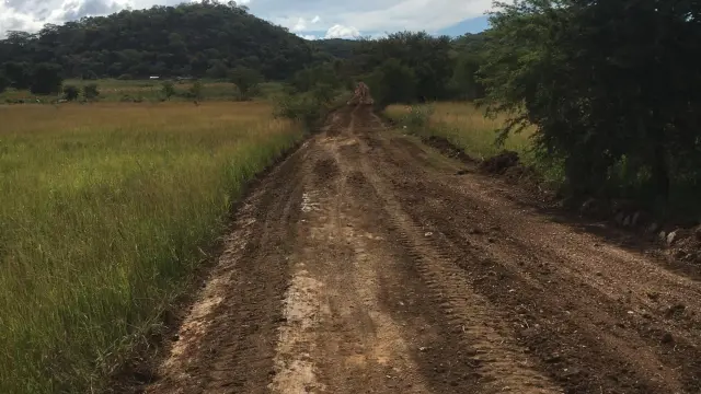 Farm/Plot for Sale inMhangura