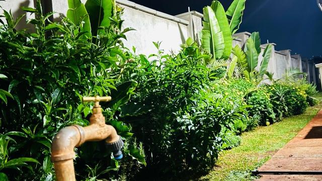 Investment Property:Mount Pleasant Heights