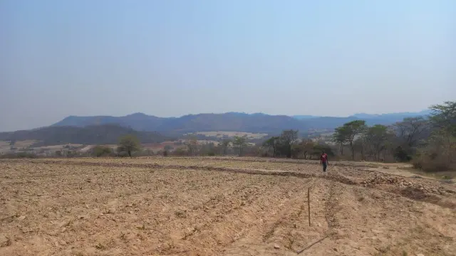 Farm for Sale