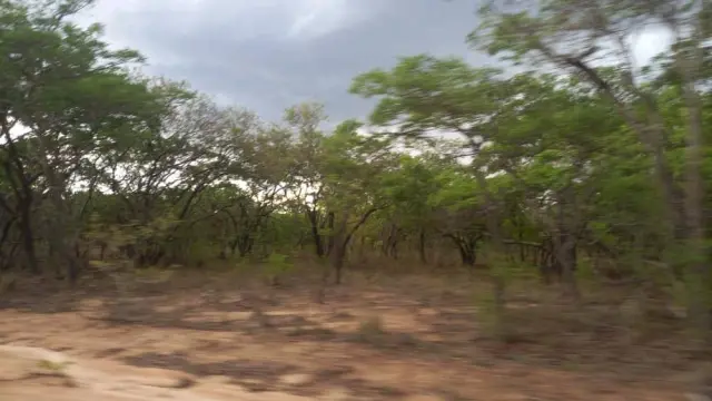 Land for Sale inGweru East