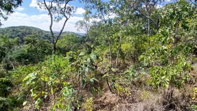 Residential Stand for Sale inGletwin Park