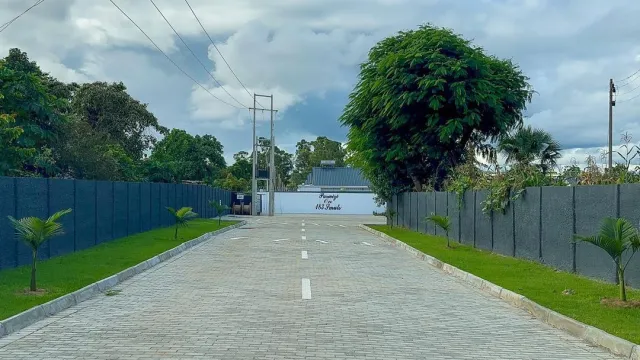 developer