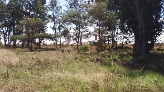 Land for Sale
