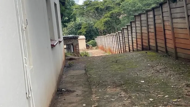Room to Rent