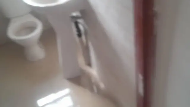 Room to Rent