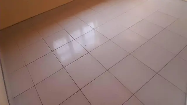 Room to Rent