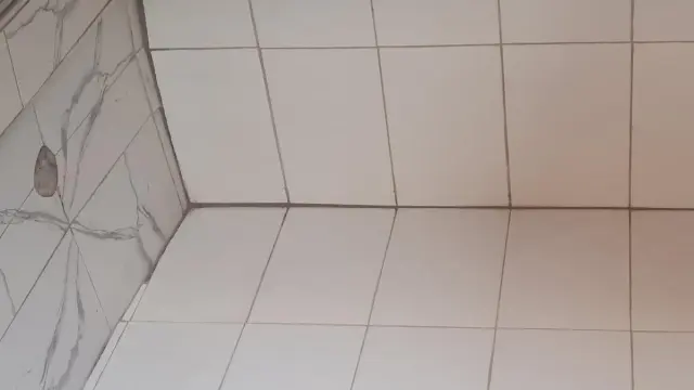 Room to Rent