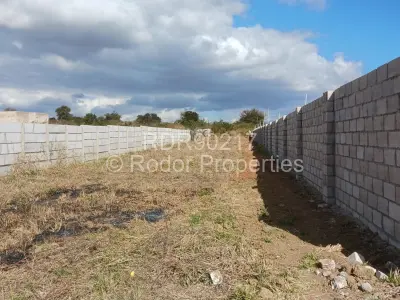 Land for Sale in Buena Vista