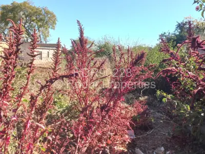 Stand for Sale in Buena Vista