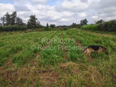 Residential Stand For Sale in Waterford