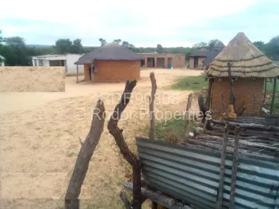 Farm/Plot For Sale in Insiza