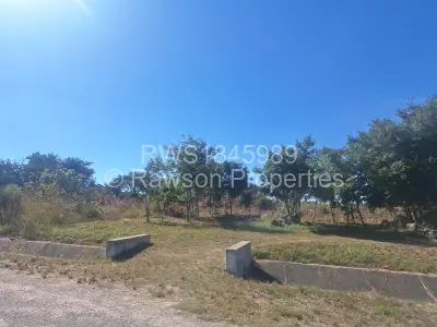 Stand for Sale in Sunway City