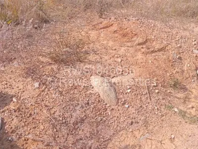 Stand for Sale in Ruwa