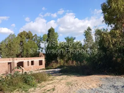 Stand for Sale in Cold Comfort