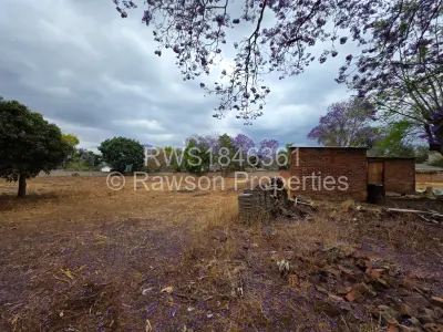 Stand for Sale in Borrowdale