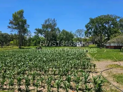 Farm/Plot for Sale in Arcturus