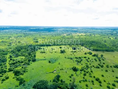 Industrial Stand For Sale in Kadoma