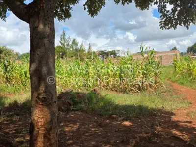 Residential Stand For Sale in Gletwin Park