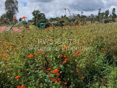 Residential Stand For Sale in Hogerty Hill