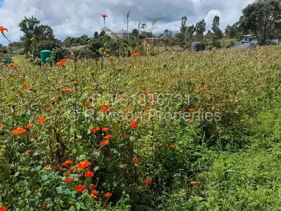 Residential Stand For Sale in Hogerty Hill