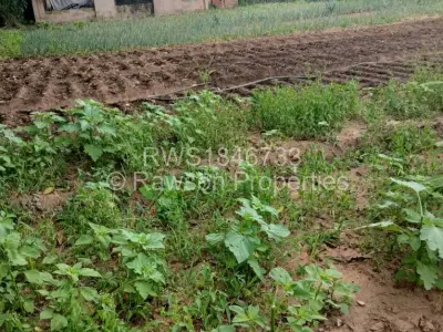 Farm/Plot For Sale in Goromonzi