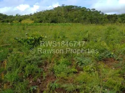 Farm/Plot For Sale in Bindura
