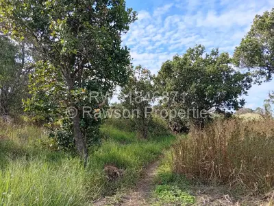 Farm/Plot For Sale in Ruwa