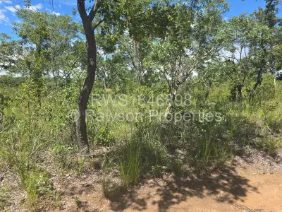 Farm/Plot For Sale in Bindura