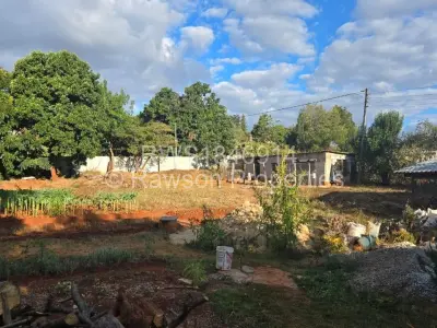 Residential Stand For Sale in Quinnington