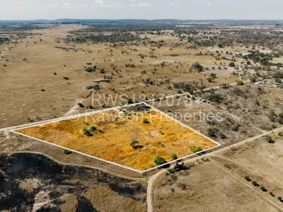 Farm/Plot For Sale in Norton
