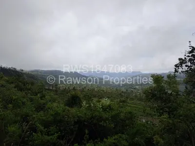 Farm/Plot For Sale in Nyanga