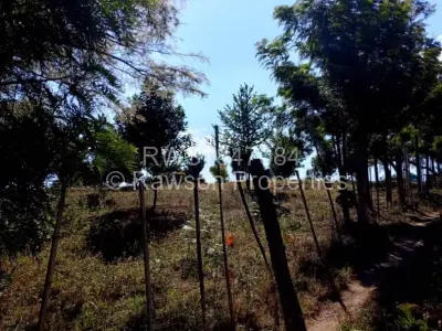 Farm/Plot For Sale in Vumba