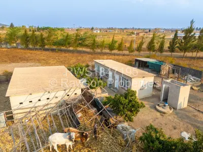Farm/Plot For Sale in Rainham