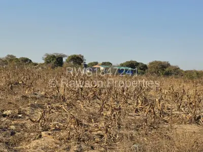 Farm/Plot For Sale in Ruwa