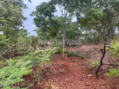 Farm/Plot For Sale in Arcturus