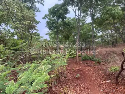 Farm/Plot For Sale in Arcturus