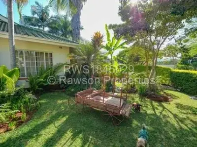 House for Sale in Borrowdale Brooke