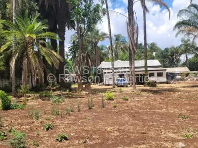 Land for Sale in Avondale