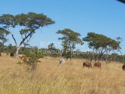 Farm for Sale in Chegutu