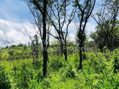 Land for Sale in Nyanga