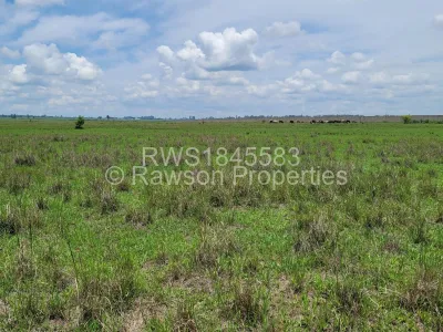 Stand for Sale in Goodhope