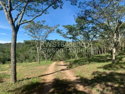 Land for Sale in Nyanga